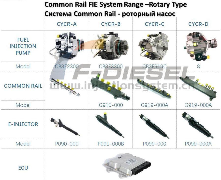 Common Rail FIE System Range-Rotary Type 2